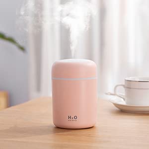 H2O 300ml Mini Portable Humidifier