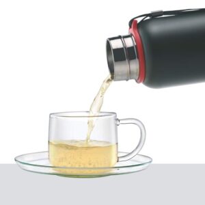 Borosil Trek Vacuum Insulated Water Bottle